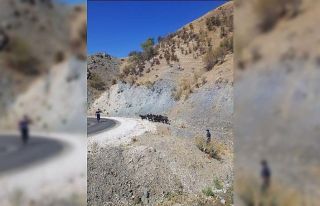 Elazığ’da kaybolan keçiler jandarmanın drone...