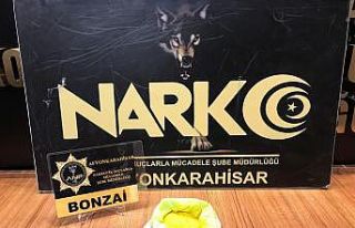 Ele geçirilmeseydi 20 kilogram bonzai üreteceklerdi