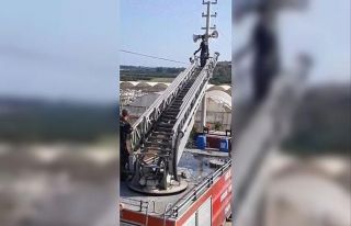 Elektrik teline takılan serçeyi itfaiye ekipleri...