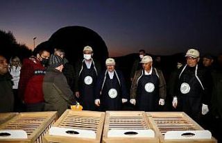 Emre Gölü doğal yaşamın merkezi oluyor