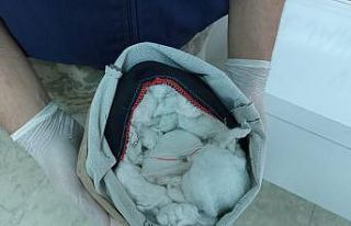 Erciş’te uyuşturucu operasyonu