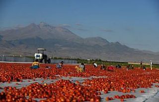 Erciyes’in etekleri kırmızıya boyandı