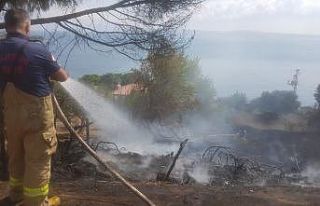 Erdek’te arazi yangını