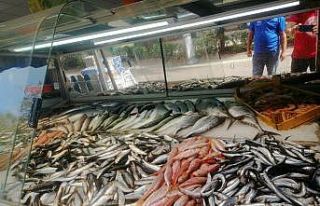 Erdek’te balık tezgahları şenlendi