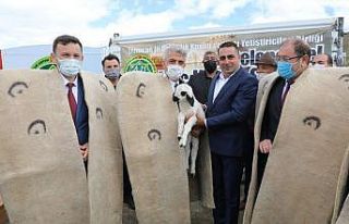 Erzincan’da “2. Geleneksel Koç Katım Şenliği”...
