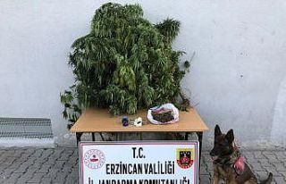 Erzincan’da bir miktar uyuşturucu ve kaçak sigara...