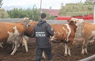 Erzincan’da “zoonoz” hastalıklar ile mücadele...