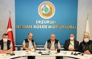 Erzurum Orman Bölge Müdürlüğünde Biyolojik Çeşitliliğin...