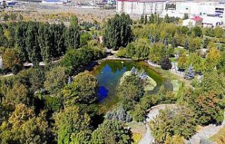 Erzurum sonbaharın renklerine büründü