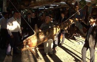 Esenyurt Mehmet Altun Öğrenci yurdu öğretmenleri...
