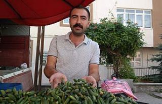 Esnaftan vatandaşa turşu çağrısı