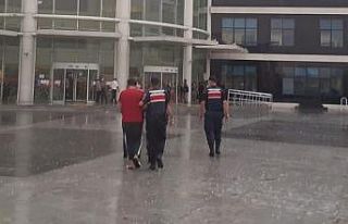 Ev fareleri jandarmadan kaçamadı