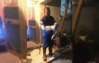 Eve giren yılanı itfaiye ekipleri yakaladı