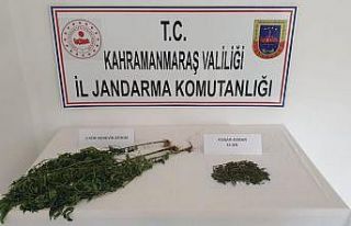 Evinin alt katını kenevir yetiştirmek için kullanan...