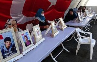 Evlat hasreti çeken baba Demir: "Kardeşi kardeşe...