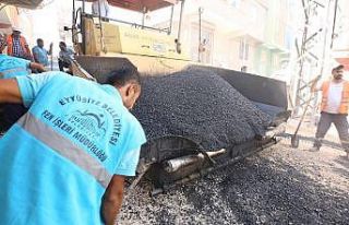Eyyübiye Belediyesi asfalt atağını sürdürüyor