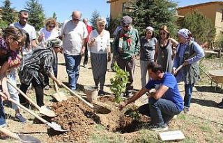 Ferhan Şensoy’un adı Sonsuz Şükran Köyü’nde...