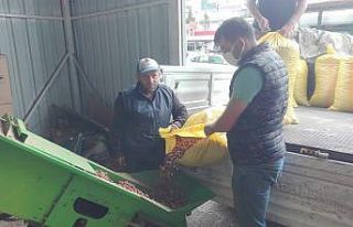 Fındığını kurutamayan üreticiler, kurutma makinelerine...