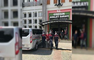 Fındık hırsızları suçüstü yakalandı