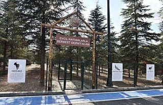 Gazi Park, yemyeşil doğası ve etkinlik alanlarıyla...