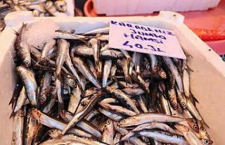 Gaziantepli balıkçılar kebap kültüründen şikayetçi