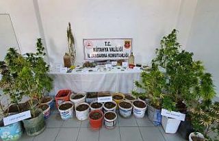 Gediz’de Jandarma hint keneviri ele geçirildi