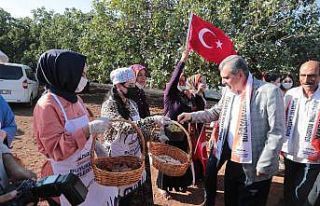 Geleneksel şire şenliğinde renkli görüntüler