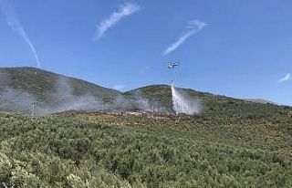 Gemlik’te orman yangını kontrol altına alındı