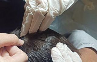 Gercüş’te 5 yaşındaki çocuğu kene ısırdı