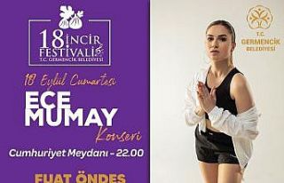 Germencik’te incir festivali için geri sayım başladı