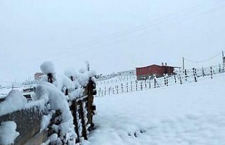 Gümüşhane’nin yüksekleri beyaza büründü