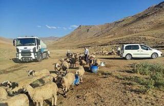 Gürpınar Belediyesi yaylaya tanker su getirdi
