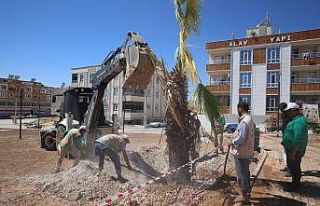 Haliliye’de parklarda sonbahar hazırlığı