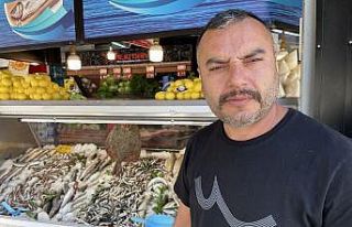 Hamsi yüzleri güldürdü palamut ise hayal kırıklığı...