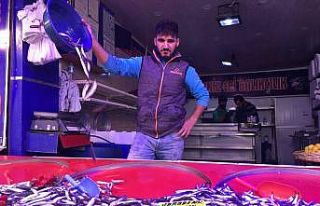 Hamsinin fiyatı düşmeye devam ediyor