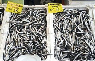 Hamsinin fiyatı düşmüyor, lüferde bolluk var