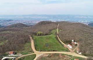 Hasaneyn Yasakdüzü Spor Tesislerinin ihalesi 29...