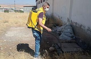 Haşerelerle mücadele çalışmaları Siirt genelinde...