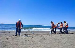 Hatay sahilinde petrol atıklarını temizleme çalışmaları...