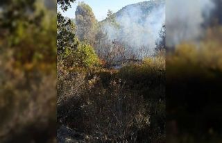 Hatay’da ikinci orman yangını