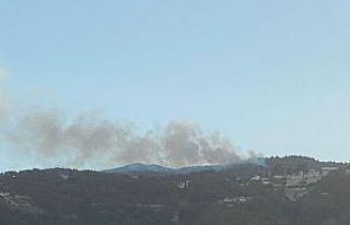 Hatay’da orman yangını