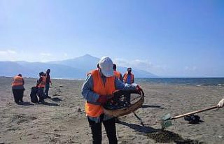 Hatay’da sahillerden günde 1 ton petrol atığı...