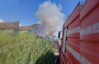 Hatay’da sazlık yangını seraları yaktı