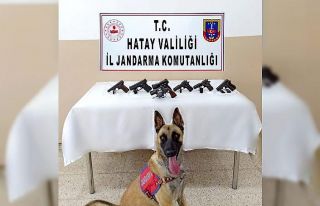 Hatay’da silah kaçakçılığı
