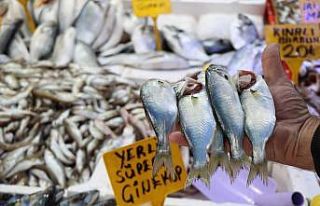 Havalar bozdu Karadeniz’de ‘çinekop’ patlaması...