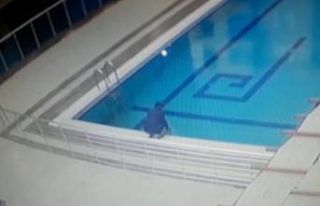 Havuzda ölmek üzere olan martıyı böyle kurtardı