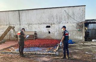 Hayvan damında ürettikleri salçayı vatandaşa...