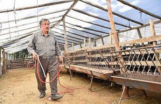 Hayvan üreticilerine ilaçlama desteği