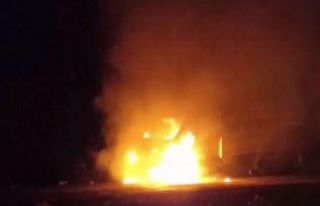 Hayvanlara çarpmamak için manevra yapan pikap şarampole...