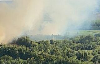 Hevsel Bahçeleri’nde korkutan yangın